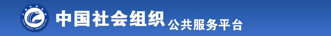 亚洲日B综合网全国社会组织信息查询